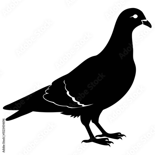Pigeon Silhouette Vector for Graphic Design and Illustration Projects