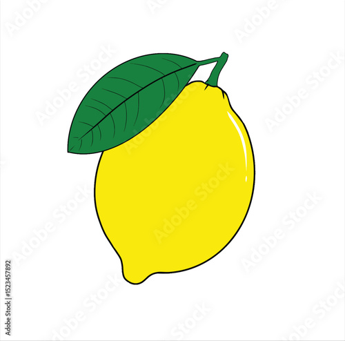vector illustration of lemon