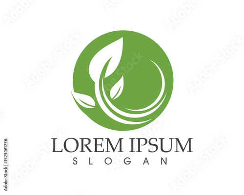 leaf green nature logo and symbol template Vector