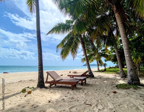 Tranquil tropical beach scene with palm trees and lounge chairs paradise