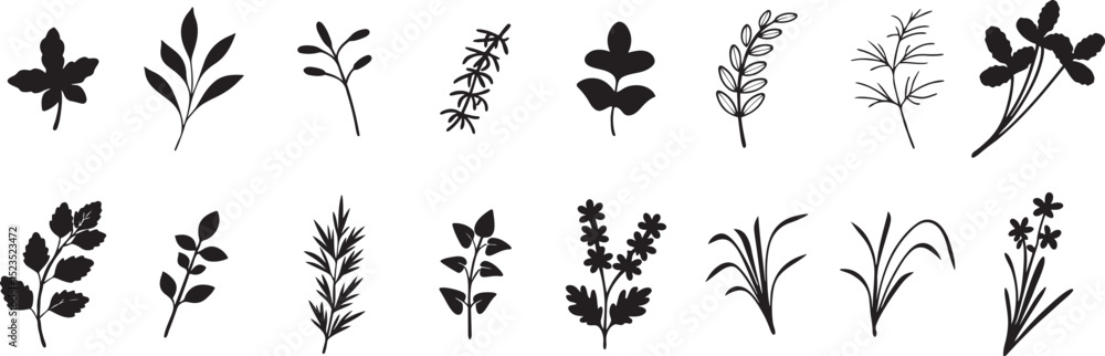 Obraz premium Botanical Silhouettes. Vector Set of Leaves, Flowers, and Branches for Natural Design.
