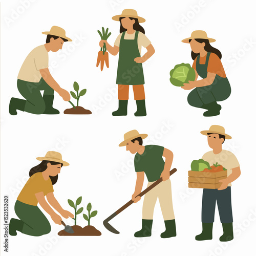 Vector Set People gardening and harvesting organic vegetables