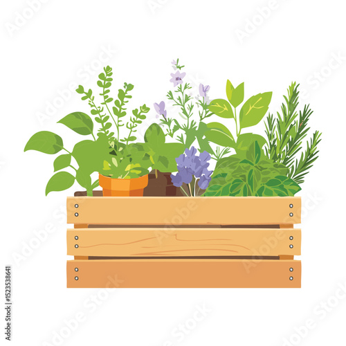 Assorted Garden Herbs and Vegetables Crate