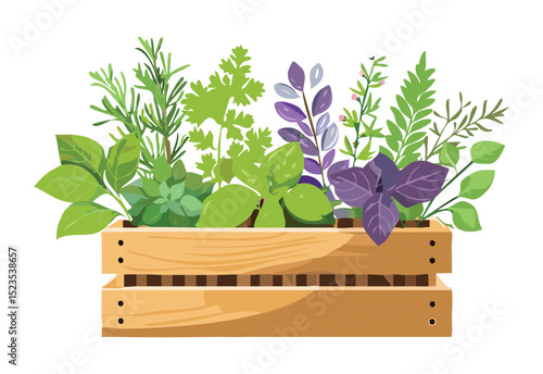 Various Herbs and Vegetables Wooden Crate