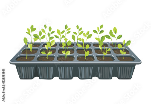Seedlings in Large Planting Tray