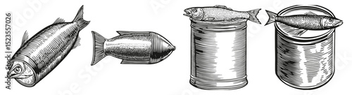 Vintage Illustrations of Fish and Canned Fish Products, Logo Design, Hand drawing Engraving, Vector Illustration Isolated Object
