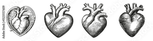 Vintage Heart Illustrations in Various Styles and Perspectives, Logo Design, Hand drawing Engraving, Vector Illustration Isolated Object