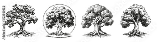 Vintage Tree Silhouette Engraving Designs for Family and Roots, vector illustration, engraving design, logo design set, black and white line, template design element