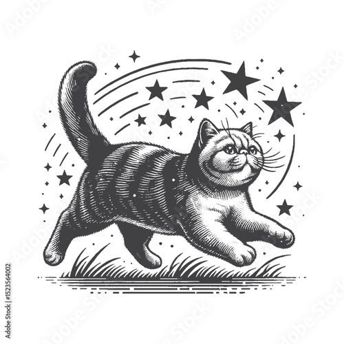 Vintage Hand-Drawn Exotic Shorthair Chasing Stars Illustration – Dreamy Cat Engraved Style Vector for T-Shirts, Posters, Stickers, and Celestial Feline Theme Apparel