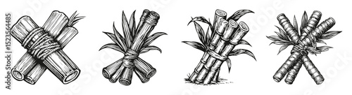 Hand-Drawn Illustrations of Bundles of Sticks and Twigs, vector illustration, engraving design, logo design set, black and white line