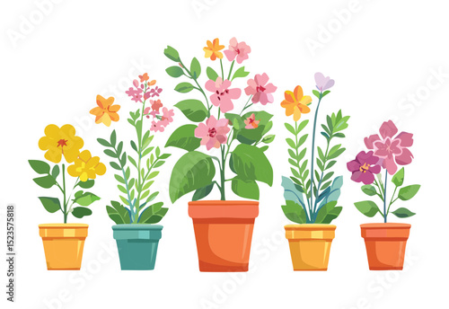 Colorful Spring Flowers in Clay Pots