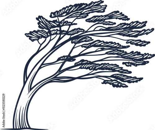 Wind swept pine tree illustration, stylized silhouette showing curved trunk and branches in strong breeze