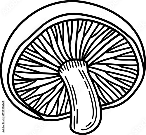 Sliced mushroom illustration, black and white outline edible fungus, gills pattern, vegetarian ingredient, healthy food