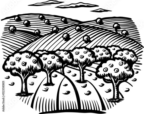 Orchard landscape illustration, rolling hills with fruit trees, rural countryside scenery, hand drawn