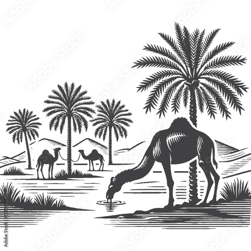Vintage Hand-Drawn Camel Drinking Water at Oasis Illustration, Desert Scene Engraved Style Vector for T-Shirts and Wildlife Themes Design