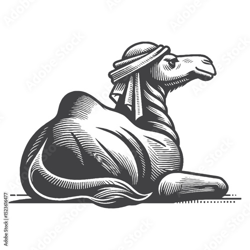 Vintage Hand-Drawn Camel Sitting Calmly Illustration, Desert Animal Engraved Style Vector for T-Shirts and Wildlife Themes Design