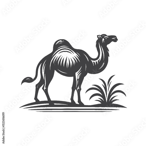 Vintage Hand-Drawn Camel Full Body Side View Illustration, Desert Animal Engraved Style Vector for T-Shirts and Wildlife Themes Design