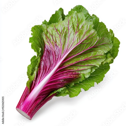 Close up view of a vibrant red and green leafy vegetable, possibly a type of Bok Choy or similar, isolated on a white background. The stem is thick