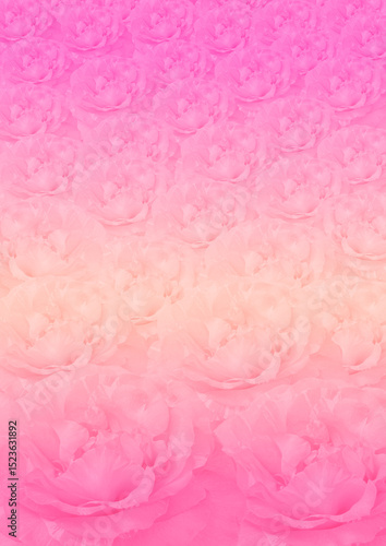 Pink damask rose flower pattern background