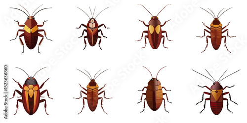 Multiple vector illustrations cockroach

