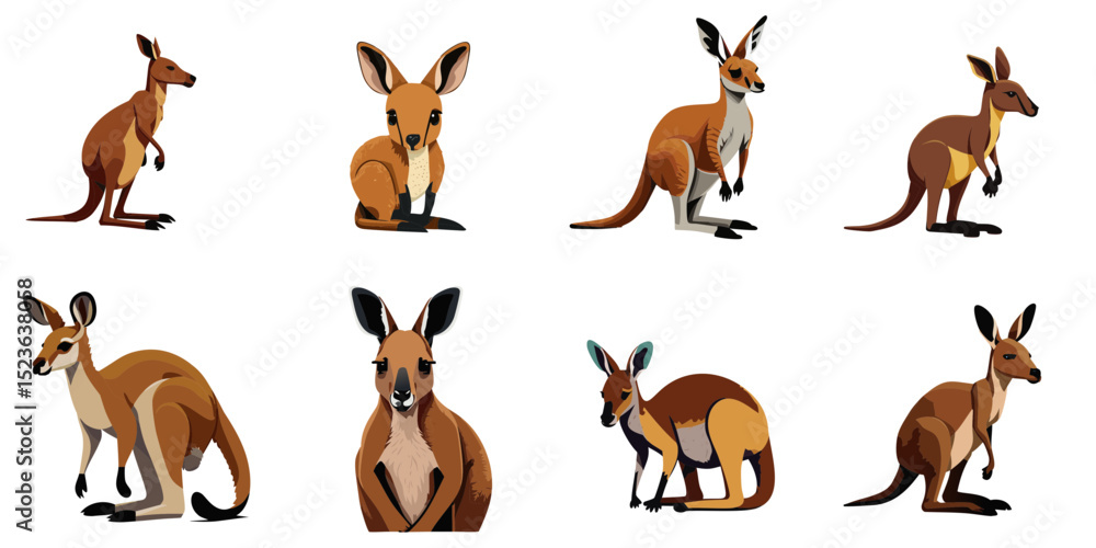 Obraz premium Multiple vector illustrations kangaroo