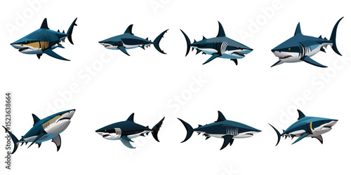 Multiple vector illustrations shark

