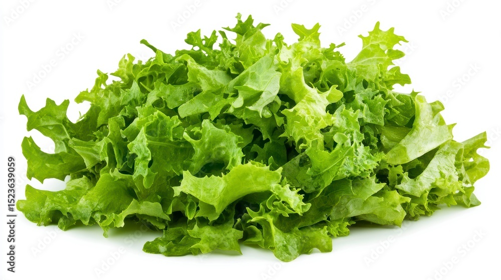 fresh green salad with red tomatoes isolated. cut out. fresh green salad with red tomatoes isolated. cut out.