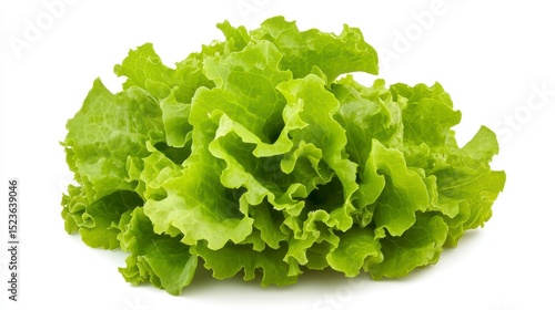 fresh green salad with red tomatoes isolated. cut out.