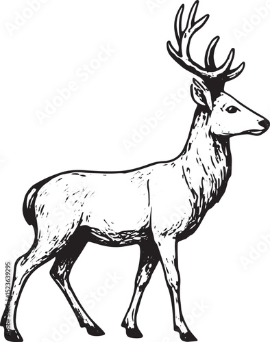 A striking black-and-white line art illustration of a majestic stag with large, branching antlers standing gracefully. Ideal for wildlife-themed designs, tattoos, posters, logos, or home decor, this d