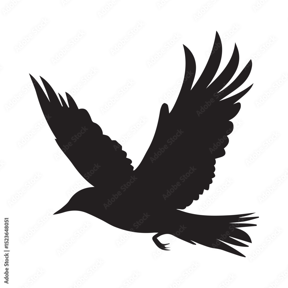 Obraz premium Black silhouette of a bird in flight wings spread