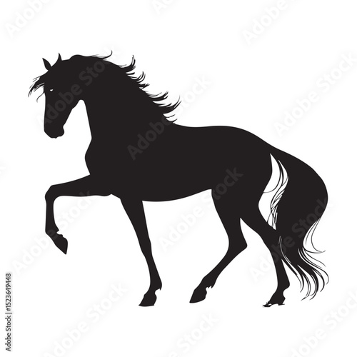 Majestic stallion silhouette elegant horse black profile