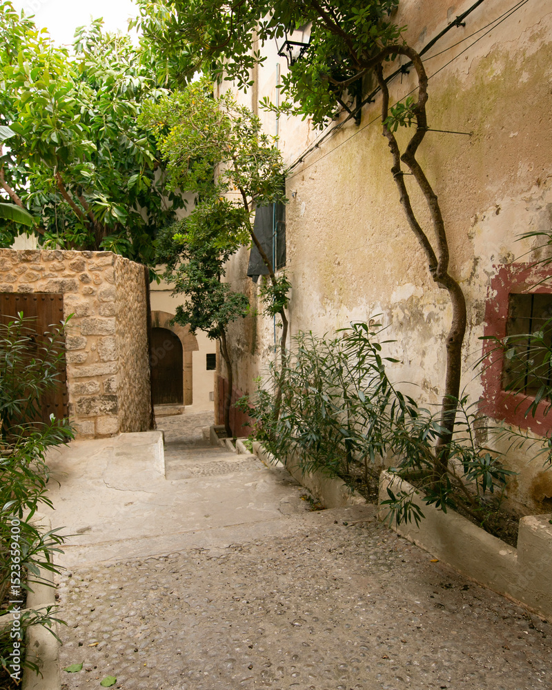 Fototapeta premium Streets and views of the ancient walled citadel of Dalt Vila, a UNESCO World Heritage Site, on the island of Ibiza in Spain.