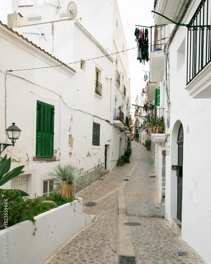 Fototapeta premium Streets and views of the ancient walled citadel of Dalt Vila, a UNESCO World Heritage Site, on the island of Ibiza in Spain.