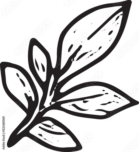 A charming black-and-white sketch of a leafy branch with five broad leaves, exuding natural elegance. Perfect for botanical designs, eco-friendly branding, or rustic decor illustrations