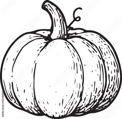 A black-and-white sketch of plump pumpkins, symbolizing autumn harvest. Perfect for farm designs, seasonal decor, or agricultural artwork