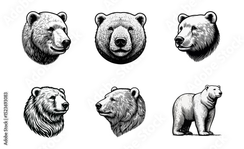 polar bear vintage simple modern engraving style black and white full body isolated on white background
