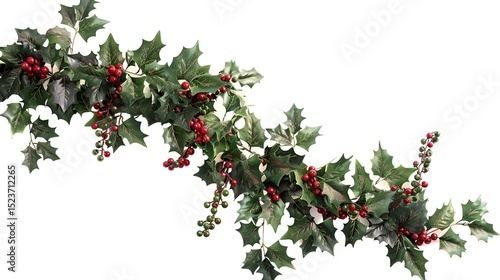 A close-up of a Christmas garland adorned with holly leaves and berries, arranged in a cascading pattern, isolated on white.