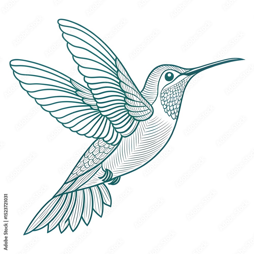 Obraz premium Minimalist Vector of a Single Line Forming a Hummingbird in Flight, minimal line art, hummingbird vector, one-line illustration, elegant animal drawing, minimalist wildlife, elegance, surreal, smooth