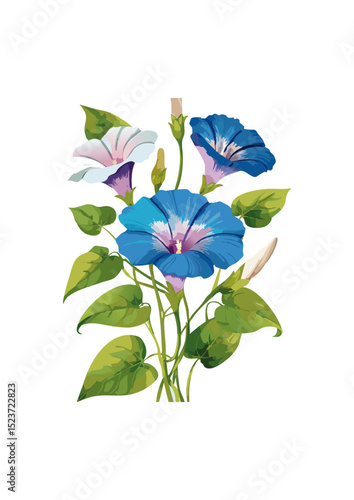Ipomoea triloba can outcompete native plants for resources, smothering them and preventing them from receiving adequate sunlight.  This can lead to a reduction in biodiversity and disrupt ecological 