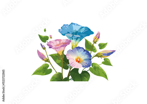 Ipomoea triloba can outcompete native plants for resources, smothering them and preventing them from receiving adequate sunlight.  This can lead to a reduction in biodiversity and disrupt ecological 