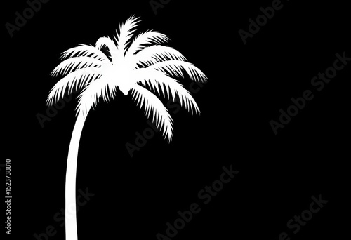 Stylized white palm tree silhouette on black background, stylish, background