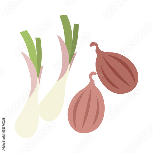 エシャロット。フラットなベクターイラスト。
Shallot. Flat vector illustration.