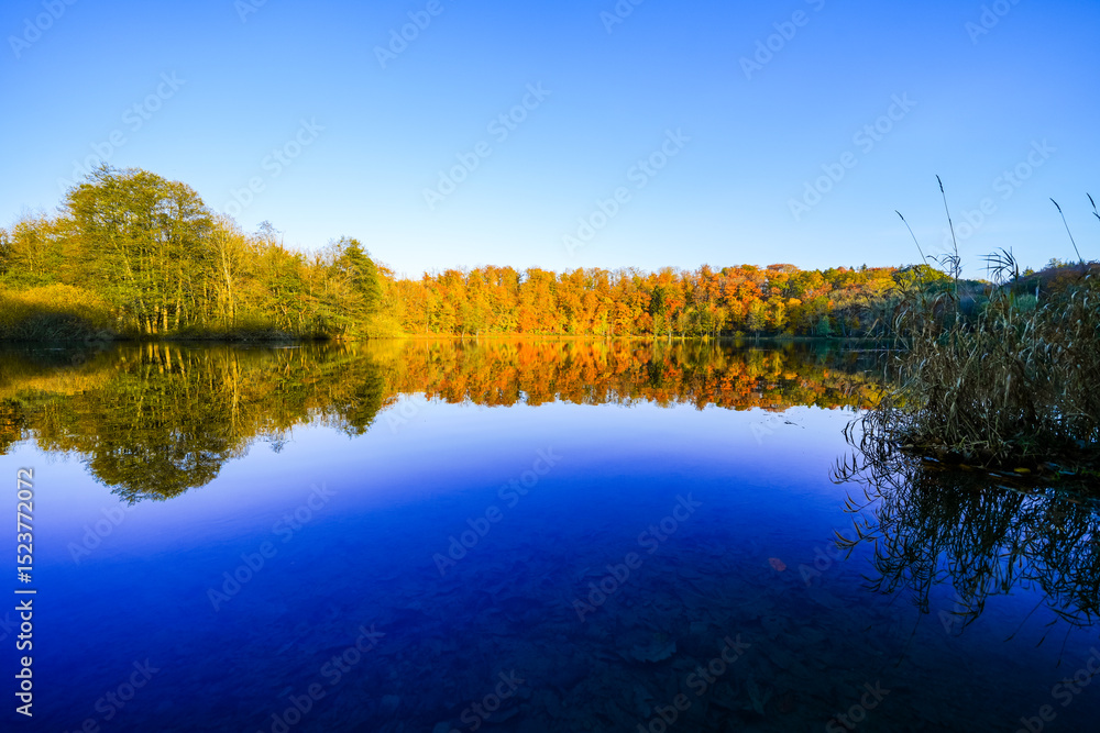Fototapeta premium View of the autumn landscape at the Holzmaar near Gillenfeld. Idyllic nature by the lake in the Volcanic Eifel region of Rhineland-Palatinate. 