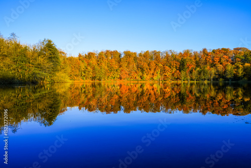 View of the autumn landscape at the Holzmaar near Gillenfeld. Idyllic nature by the lake in the Volcanic Eifel region of Rhineland-Palatinate.
