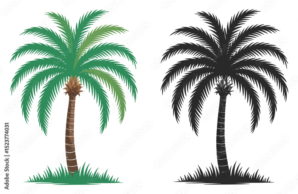 Obraz premium Palm trees black and color illustration 