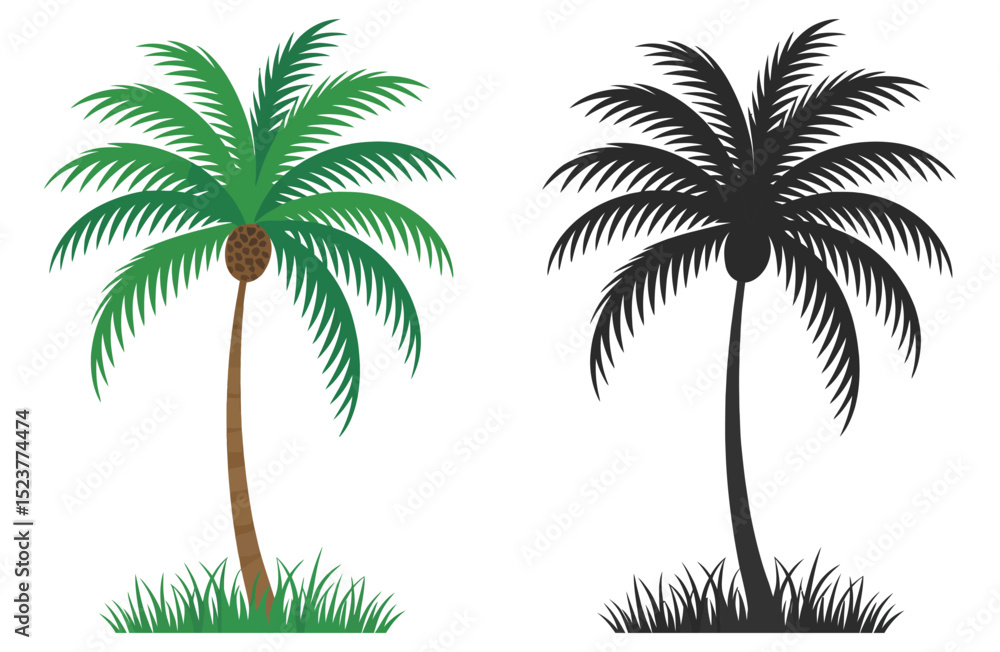 Obraz premium Vector palm trees mix of color and silhouette