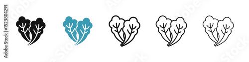 Lettuce icon illustration vector symbol set