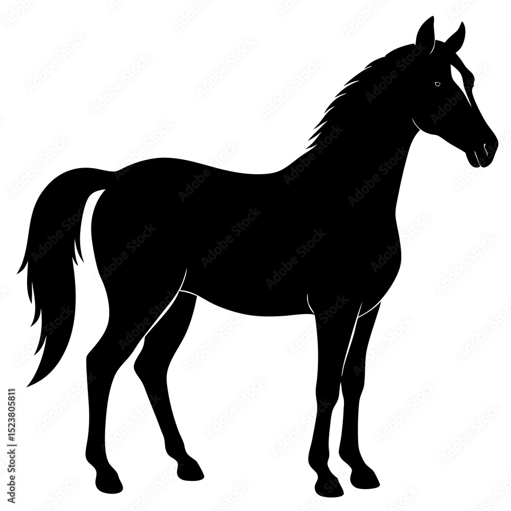 Obraz premium horse silhouette isolated on white