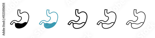 Stomach with Liquids line icon in art style vector