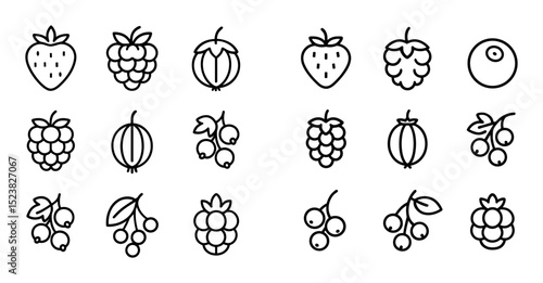 Berry Icon Grid